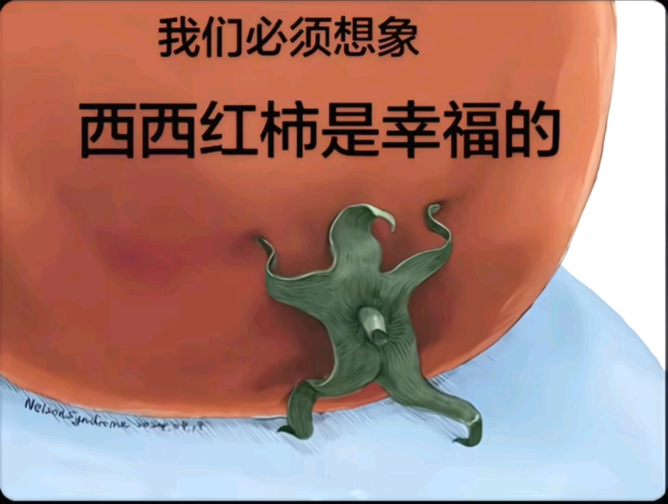 照片